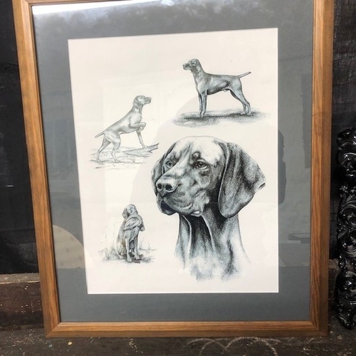 453 - Small Metal Mirror and Print of a Dog.

Mirror W26cm x H30cm
Print W42cm x H51cm