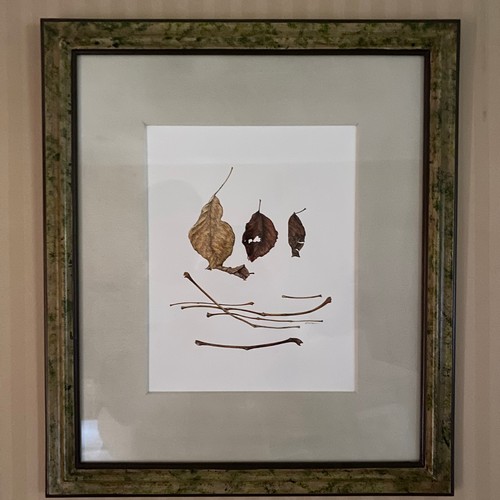 55 - Watercolour - Kate Nessler, 'Four Leaves with Stems'
Watercolour, framed and glazed, signed.
11.5