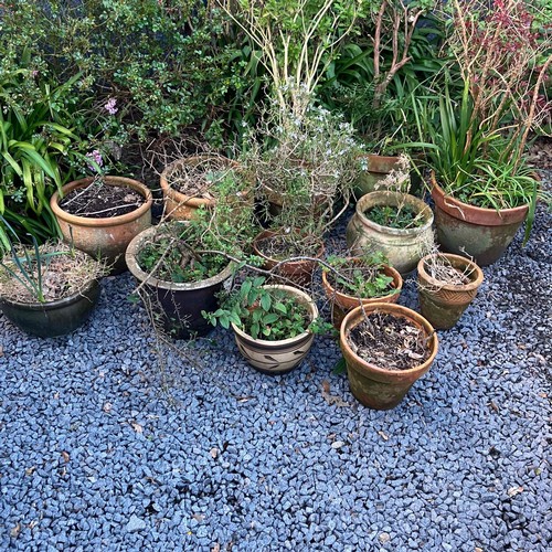 48 - A Selection Of 13 Plant Pots Of Various Colour & Size

Largest Pot H:38cm