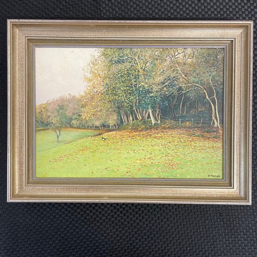 Lot 15        