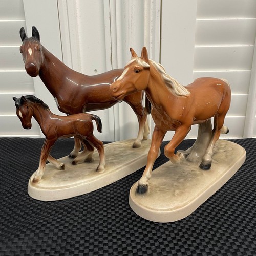 Lot 54        