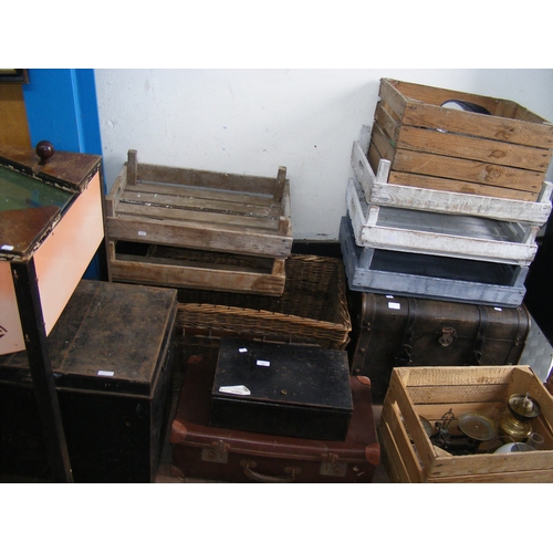 Lot 12        