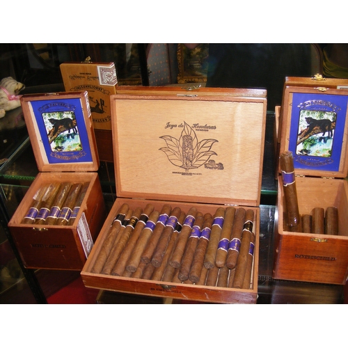 Lot 44        
