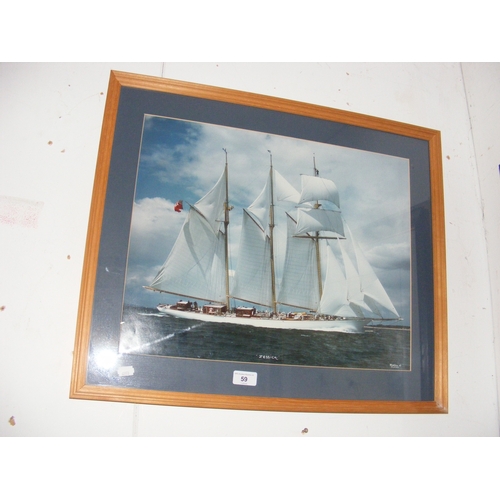 Lot 59        