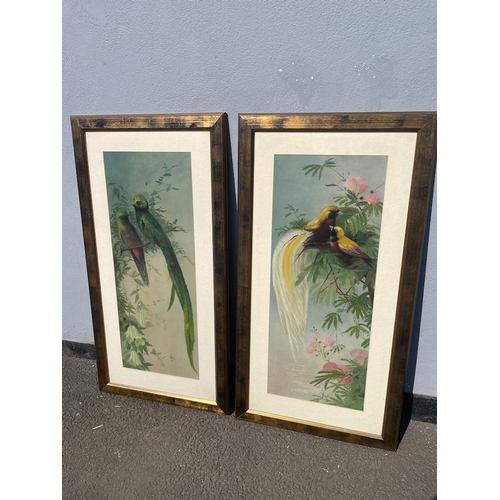 30 - Two vintage lovely oil on canvas of exotic birds unsigned 
46cm x 88cm