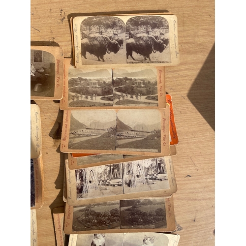 106 - Collection of Antique and Vintage stereoscopic Tours / Postcards includes American & International C... 