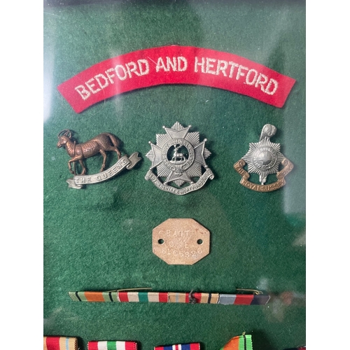 193 - Framed Collection of Five WW2 Military Medals inc Bedford & Hertford, The Queens, Royal Sussex Regim... 