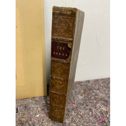 270 - 1st Edition 1831 The Horse Leather bound book, Original Photograph of horse / owner / trainer inscri... 