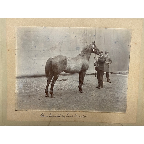 270 - 1st Edition 1831 The Horse Leather bound book, Original Photograph of horse / owner / trainer inscri... 