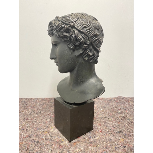 24 - Modern Designer Bust Musee Du Louvre 45cm x 23cm