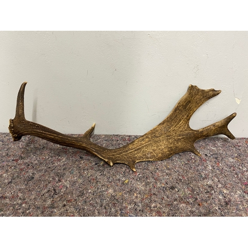 78 - Collection of three large wild deer antlers 50cm-60cm