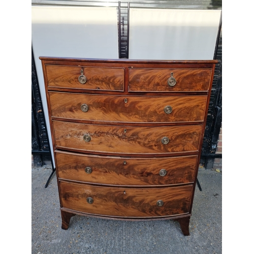 362 - 19th Century Mahogany 2 over 4 Bow Fronted Chest of Drawers on Bracket Feet 106cm x 53cm x 137cm