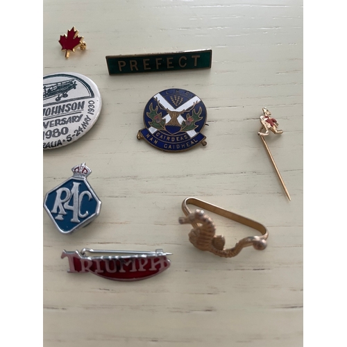 229 - Collection of enamel pin badges + others