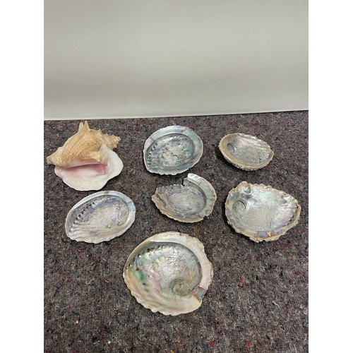 29 - Collection of Shells - A/F