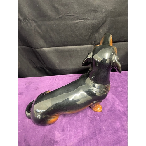 111 - Large porcelain Sitting Dachshund Dog by Beswick  Ornament 33cm x 27cm