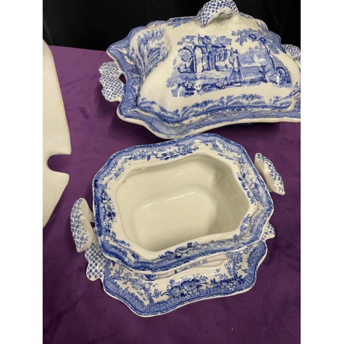 122 - 19th Century Blue & White Ironstone 