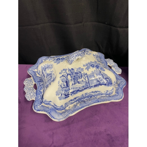 122 - 19th Century Blue & White Ironstone 