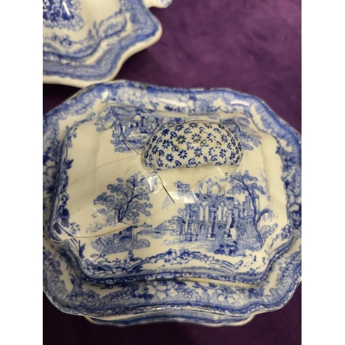 122 - 19th Century Blue & White Ironstone 