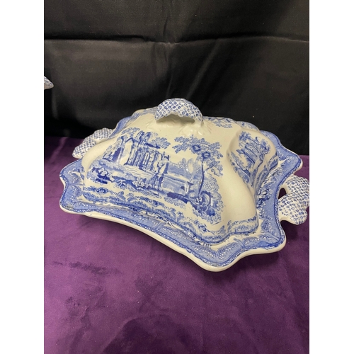 122 - 19th Century Blue & White Ironstone 