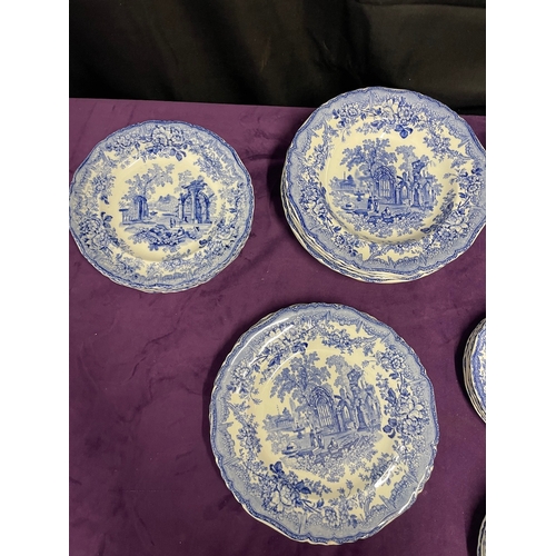 123 - 19th Century Blue & White Ironstone 