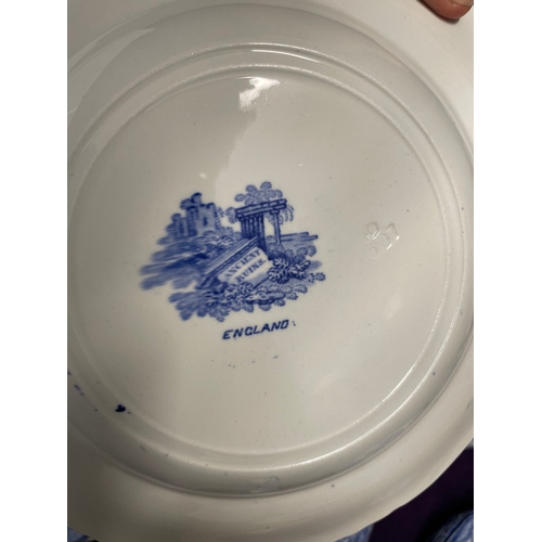 123 - 19th Century Blue & White Ironstone 