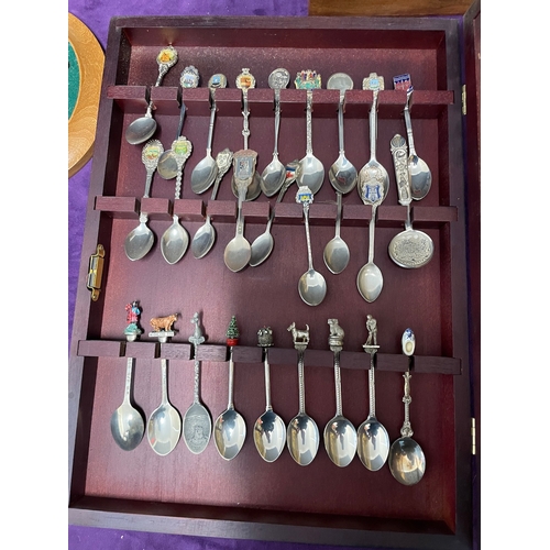 151 - Collection of display teaspoons + others in display cases