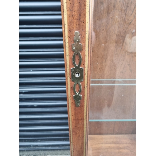 344 - Vintage American Mahogany with gilded work Glazed Display Cabinet - 183cm x 31cm x 50cm