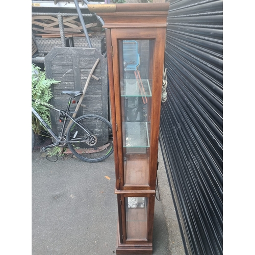 344 - Vintage American Mahogany with gilded work Glazed Display Cabinet - 183cm x 31cm x 50cm