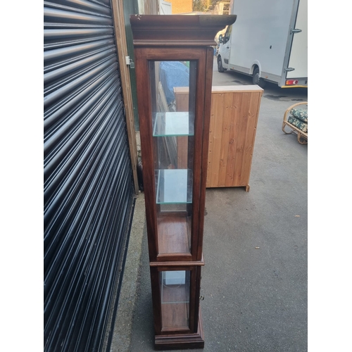 344 - Vintage American Mahogany with gilded work Glazed Display Cabinet - 183cm x 31cm x 50cm