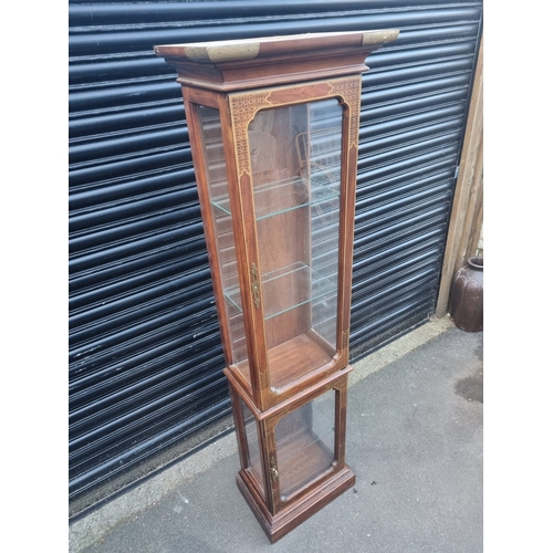 344 - Vintage American Mahogany with gilded work Glazed Display Cabinet - 183cm x 31cm x 50cm