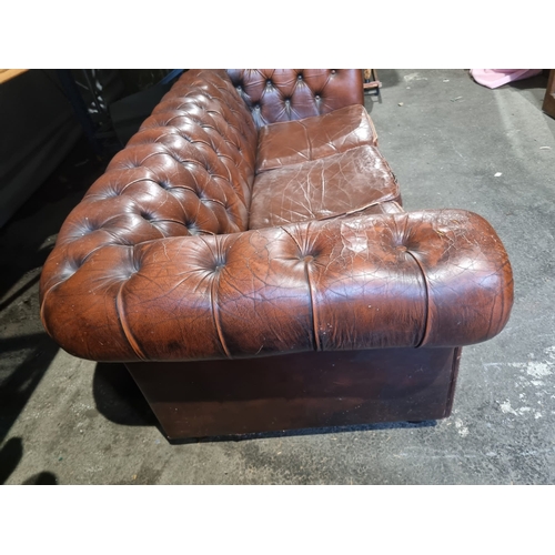 356 - Vintage Brown Chesterfield Sofa Bed