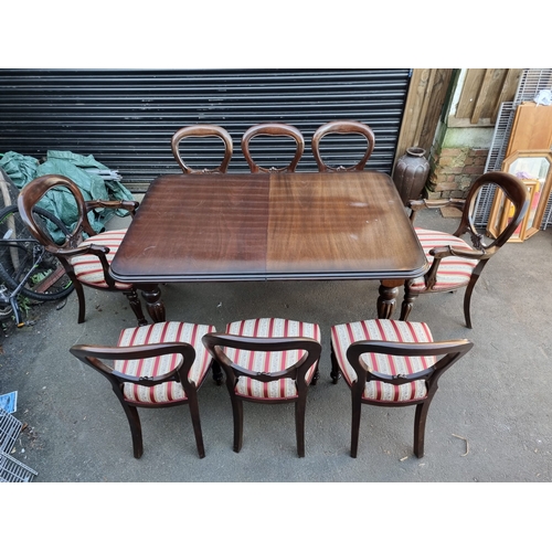 372 - 20th Century Mahogany Extendable Dining Table + 8 Balloon Back Upholstered Dining Chairs