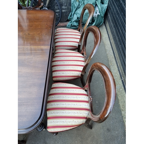 372 - 20th Century Mahogany Extendable Dining Table + 8 Balloon Back Upholstered Dining Chairs