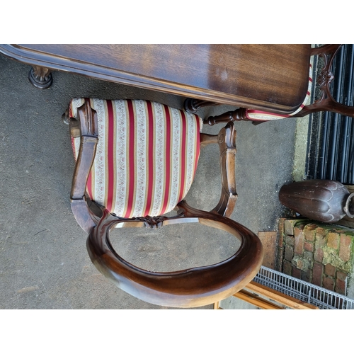 372 - 20th Century Mahogany Extendable Dining Table + 8 Balloon Back Upholstered Dining Chairs