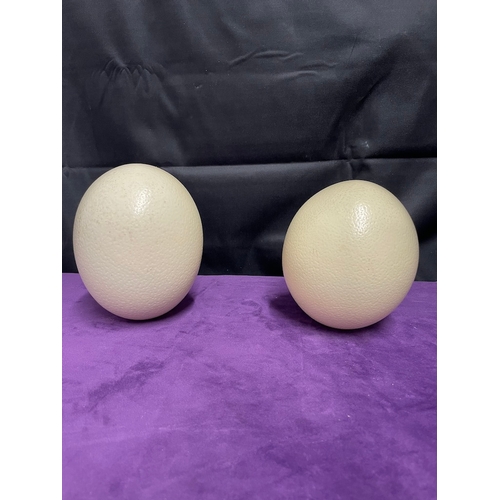 61 - Two Complete Ostrich Eggs