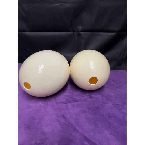 61 - Two Complete Ostrich Eggs