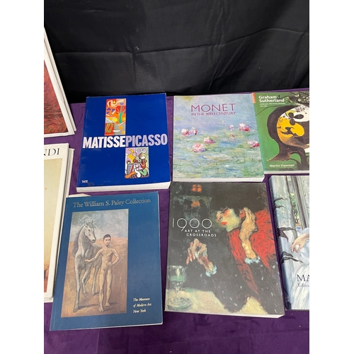 95 - Quantity of Artist Reference Books inc Mundi, Matisse , Picasso, Manet etc