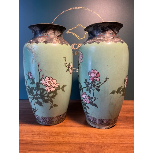 41 - 19th Century Pair of Chinese Polychrome Cloisonné vases Featuring Floral & Bird Motif