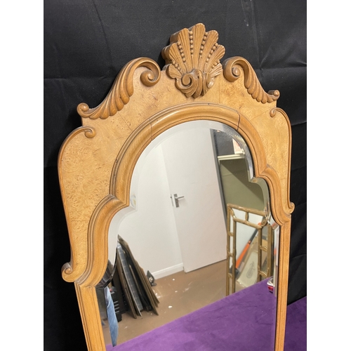 50 - Antique Burr Walnut Wall Mirror with shell motif, carved shoulders, plain frame surrounding a bevell... 