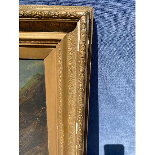 373 - Vintage oil paintings on board in gilt frames signed by F. Wallins