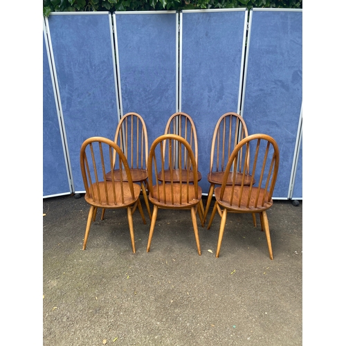 316 - A matching set of six Golden Dawn Ercol chairs.