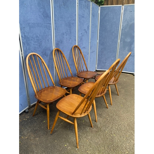 316 - A matching set of six Golden Dawn Ercol chairs.