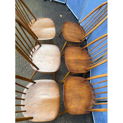 316 - A matching set of six Golden Dawn Ercol chairs.