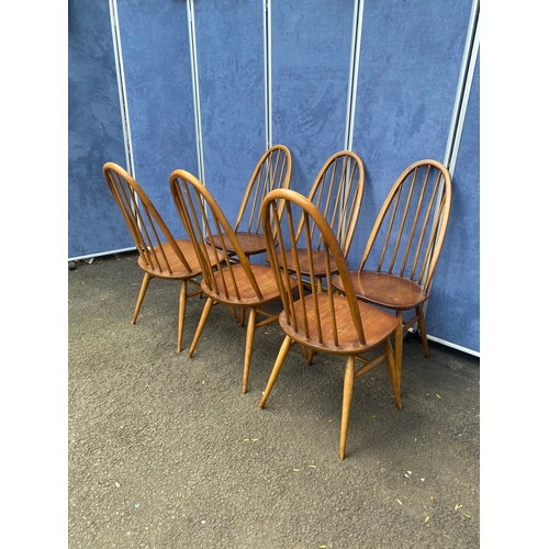 316 - A matching set of six Golden Dawn Ercol chairs.