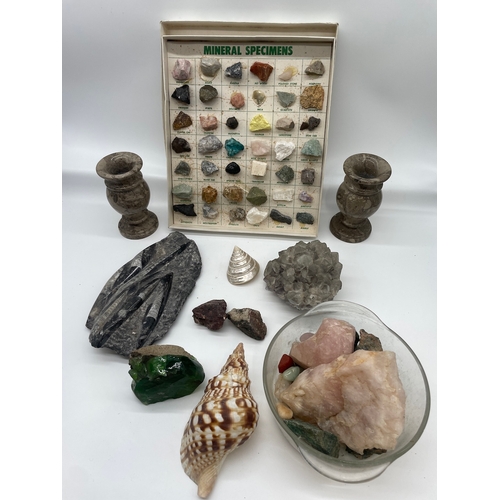 131 - Collection of mineral specimens / fossils / shells