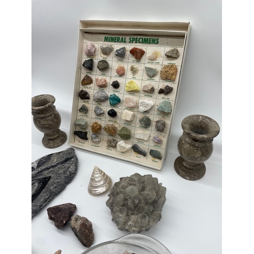 131 - Collection of mineral specimens / fossils / shells