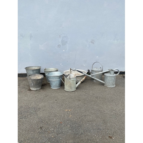 311 - A selection of galvanised watering cans and buckets