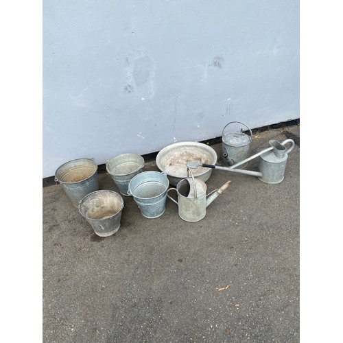 311 - A selection of galvanised watering cans and buckets