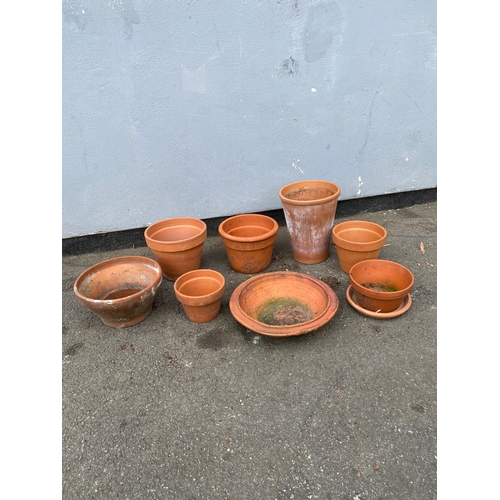 318 - Terracotta bowl and small planting Potts