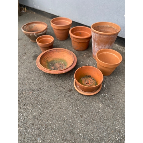 318 - Terracotta bowl and small planting Potts